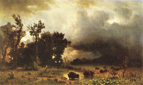 Albert Bierstadt Buffalo Trail Sweden oil painting art